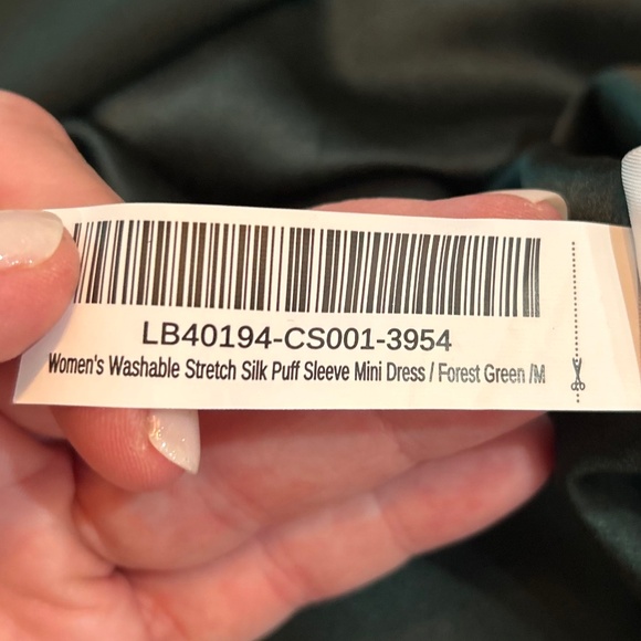 🌳NWT - QUINCE WASHABLE STRETCH SILK PUFF SLEEVE MINI DRESS - Picture 14 of 14
